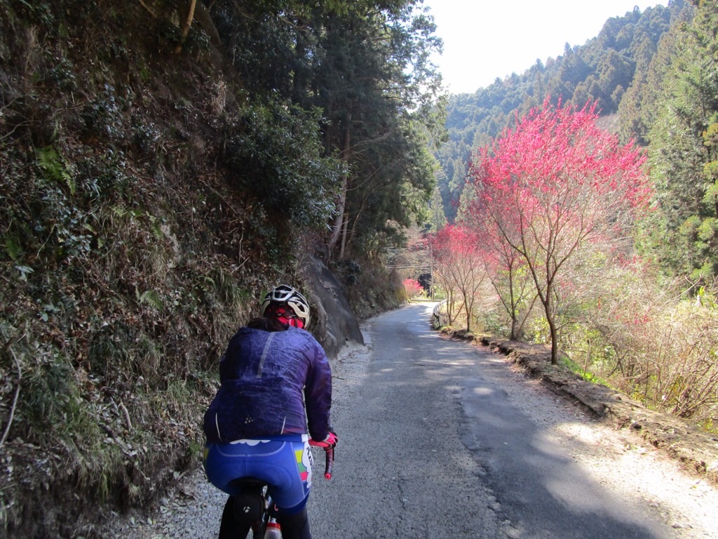 f:id:inagon175:20190324230610j:image f:id:inagon175:20190324230610j:image