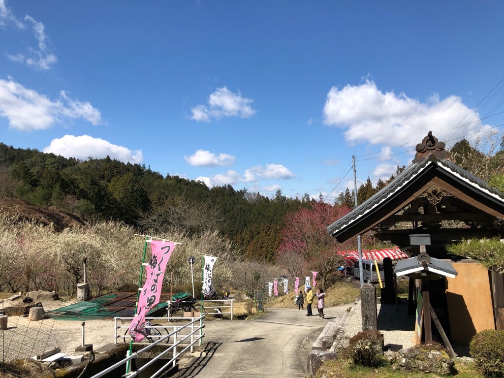 f:id:inagon175:20190324231202j:image f:id:inagon175:20190324231202j:image