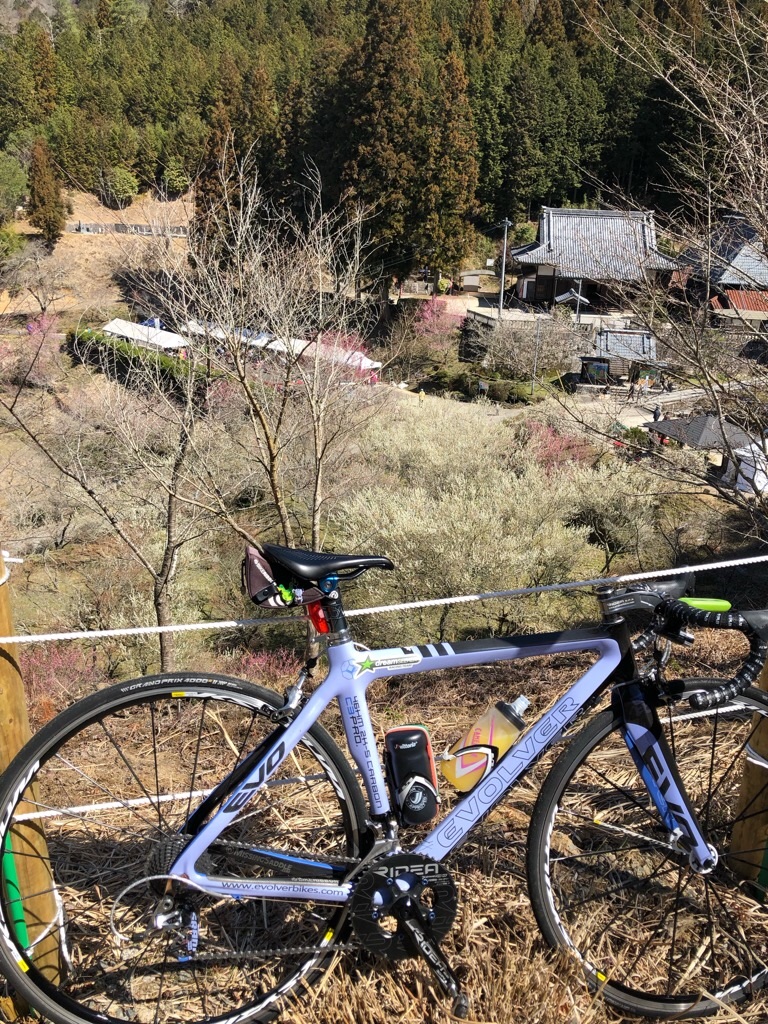 f:id:inagon175:20190324231534j:image f:id:inagon175:20190324231534j:image