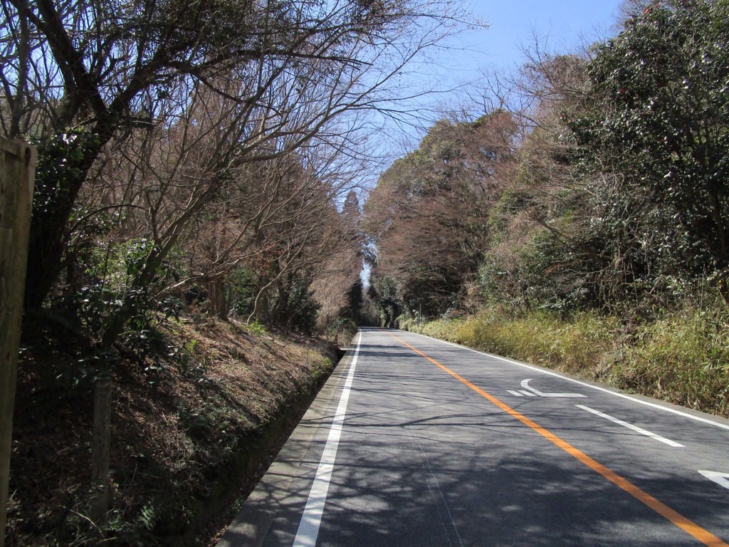 f:id:inagon175:20190325075821j:image f:id:inagon175:20190325075821j:image