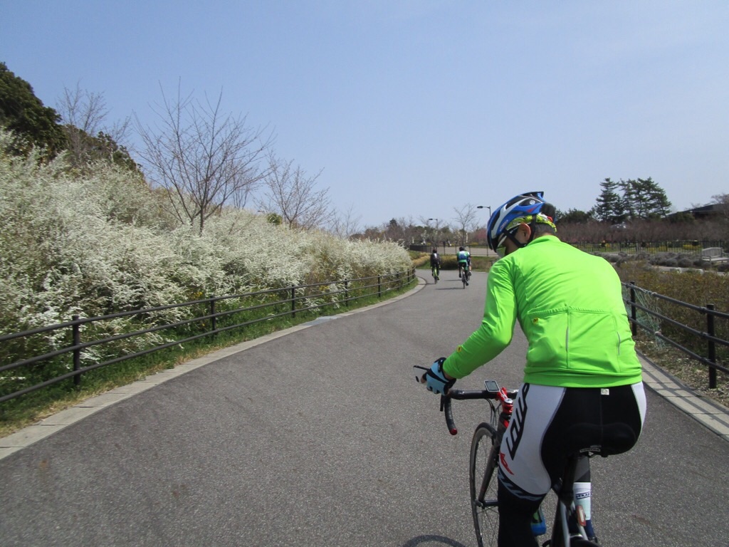 f:id:inagon175:20190327160721j:image