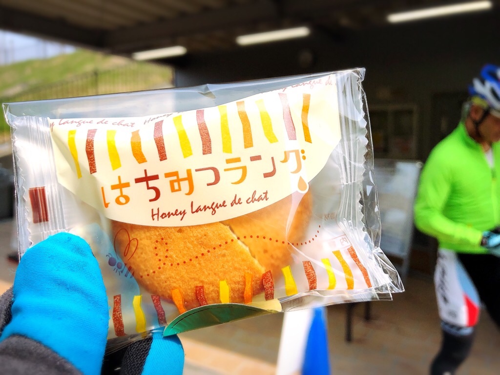 f:id:inagon175:20190327162114j:image