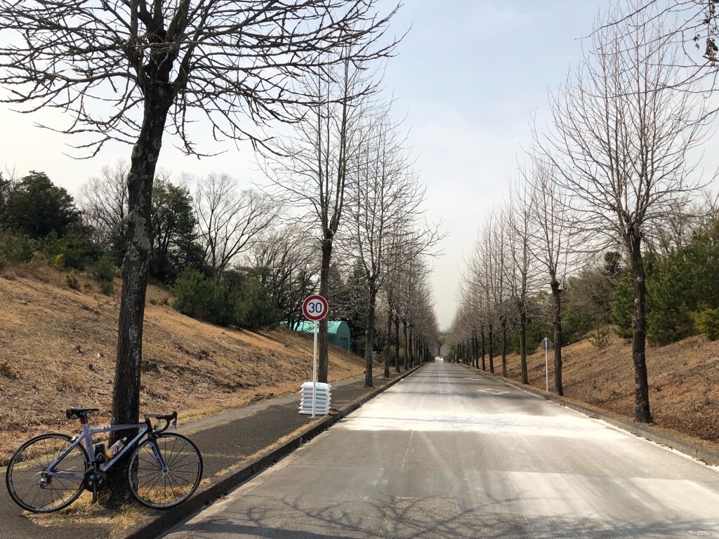 f:id:inagon175:20190327162353j:image