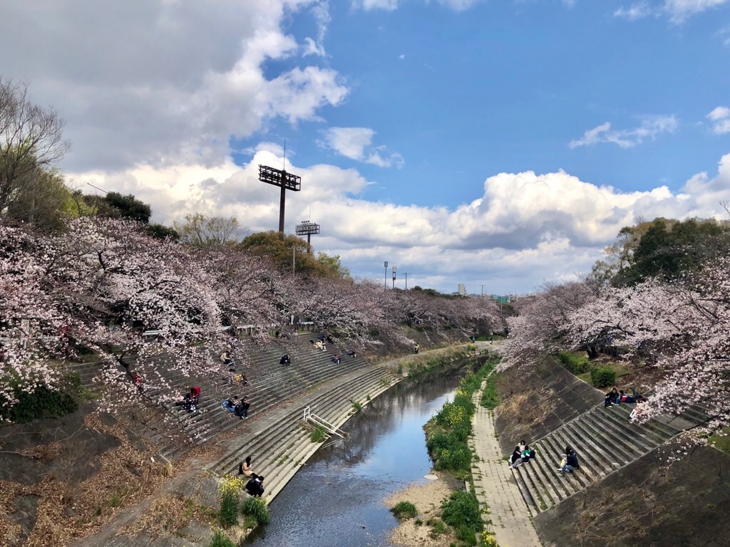 f:id:inagon175:20190331163443j:image