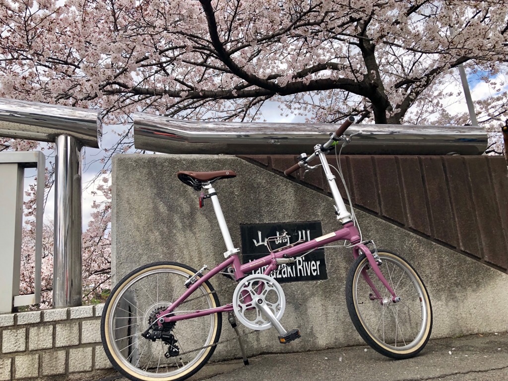 f:id:inagon175:20190331164820j:image