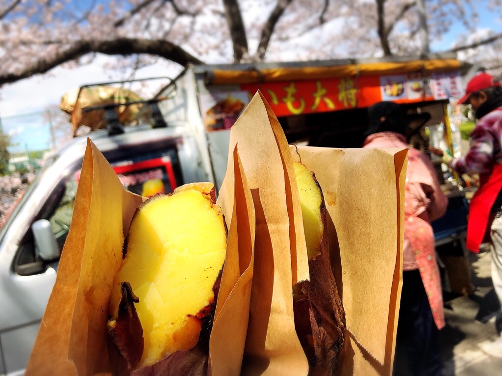 f:id:inagon175:20190331170125j:image