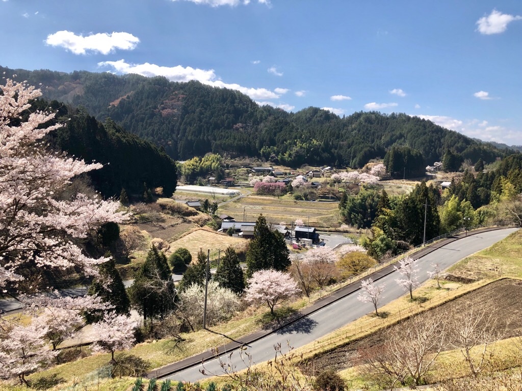 f:id:inagon175:20190414102827j:image f:id:inagon175:20190414102827j:image