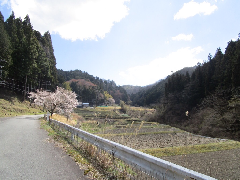 f:id:inagon175:20190414103838j:image f:id:inagon175:20190414103838j:image