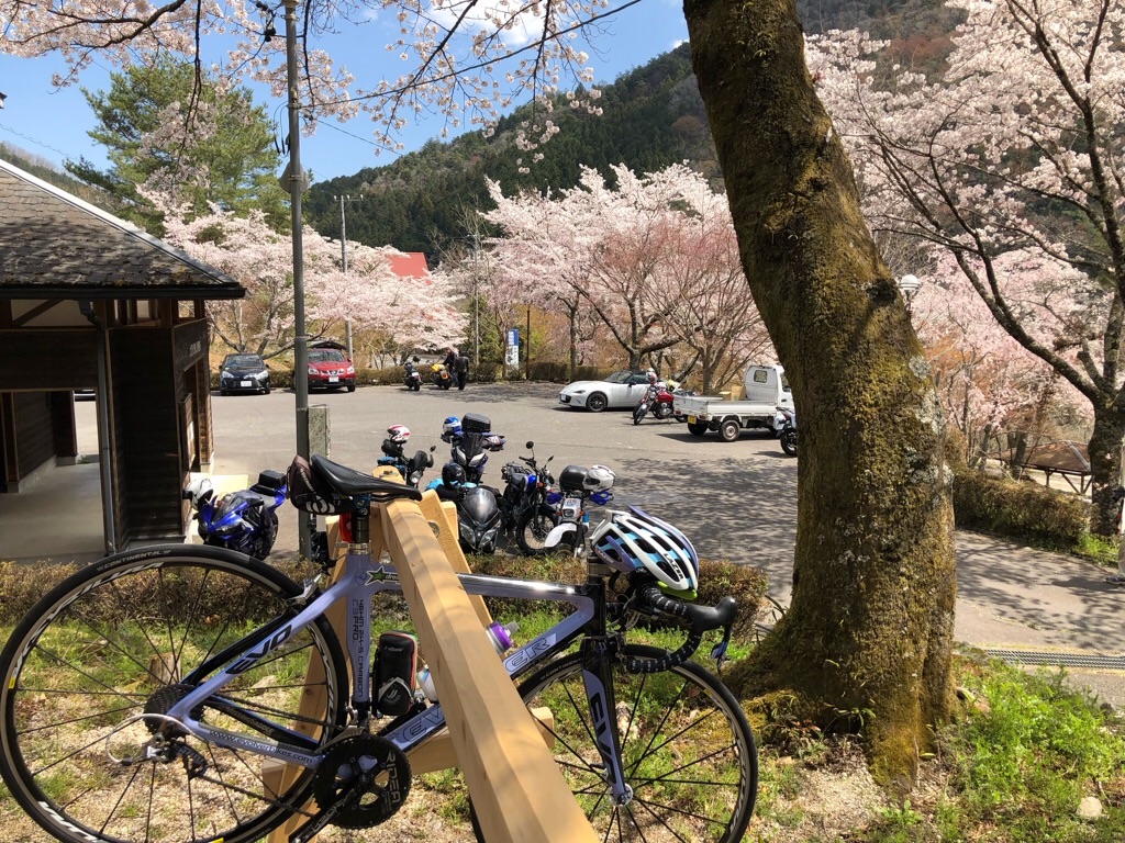 f:id:inagon175:20190414111703j:image f:id:inagon175:20190414111703j:image