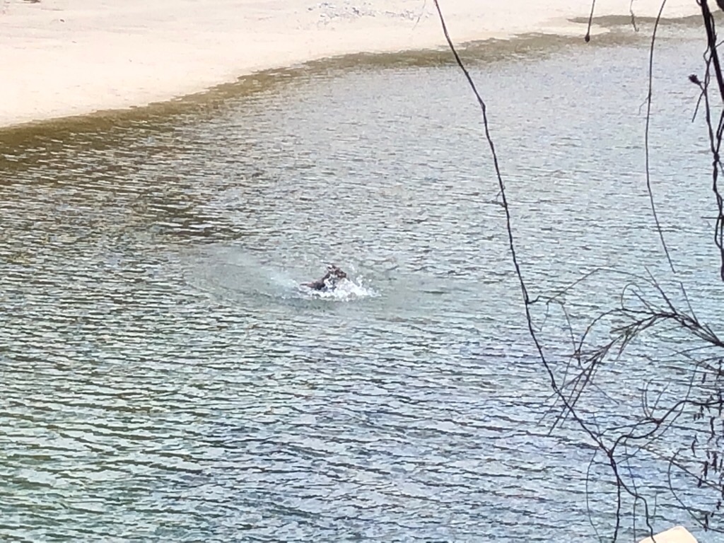 f:id:inagon175:20190414115708j:image f:id:inagon175:20190414115708j:image