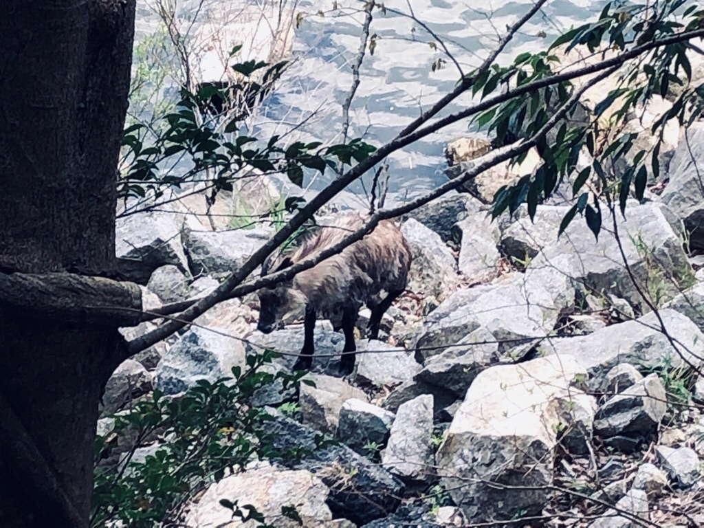 f:id:inagon175:20190414115954j:image f:id:inagon175:20190414115954j:image