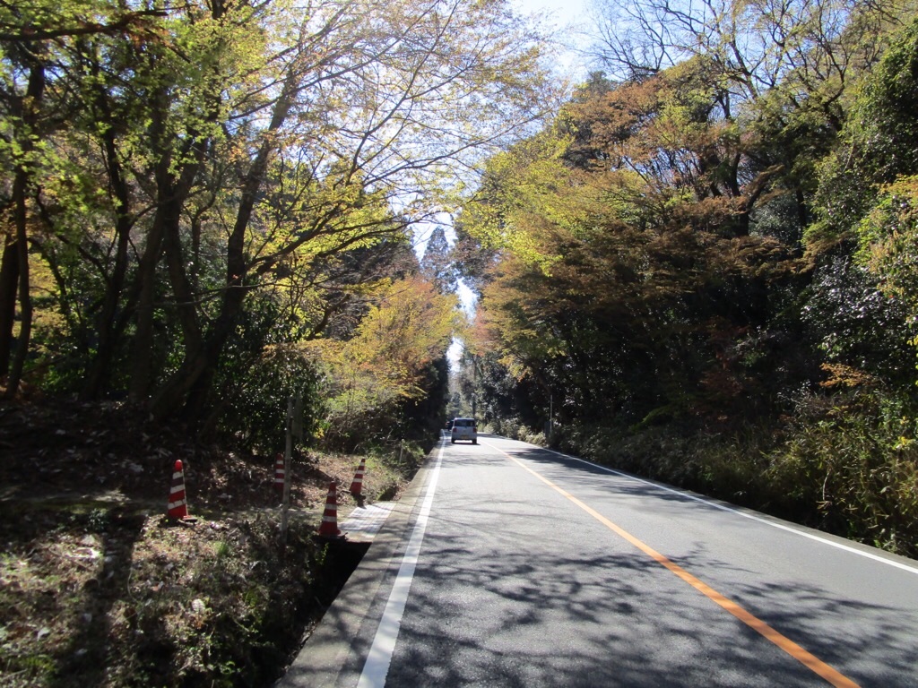 f:id:inagon175:20190414124927j:image f:id:inagon175:20190414124927j:image