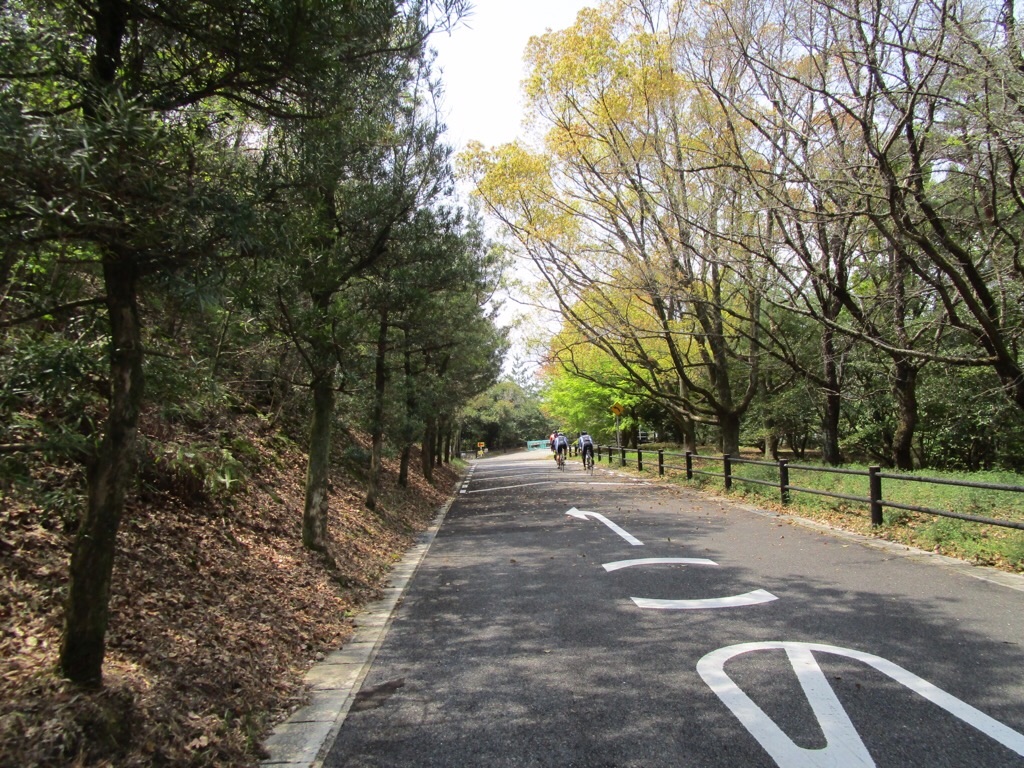 f:id:inagon175:20190419150015j:image