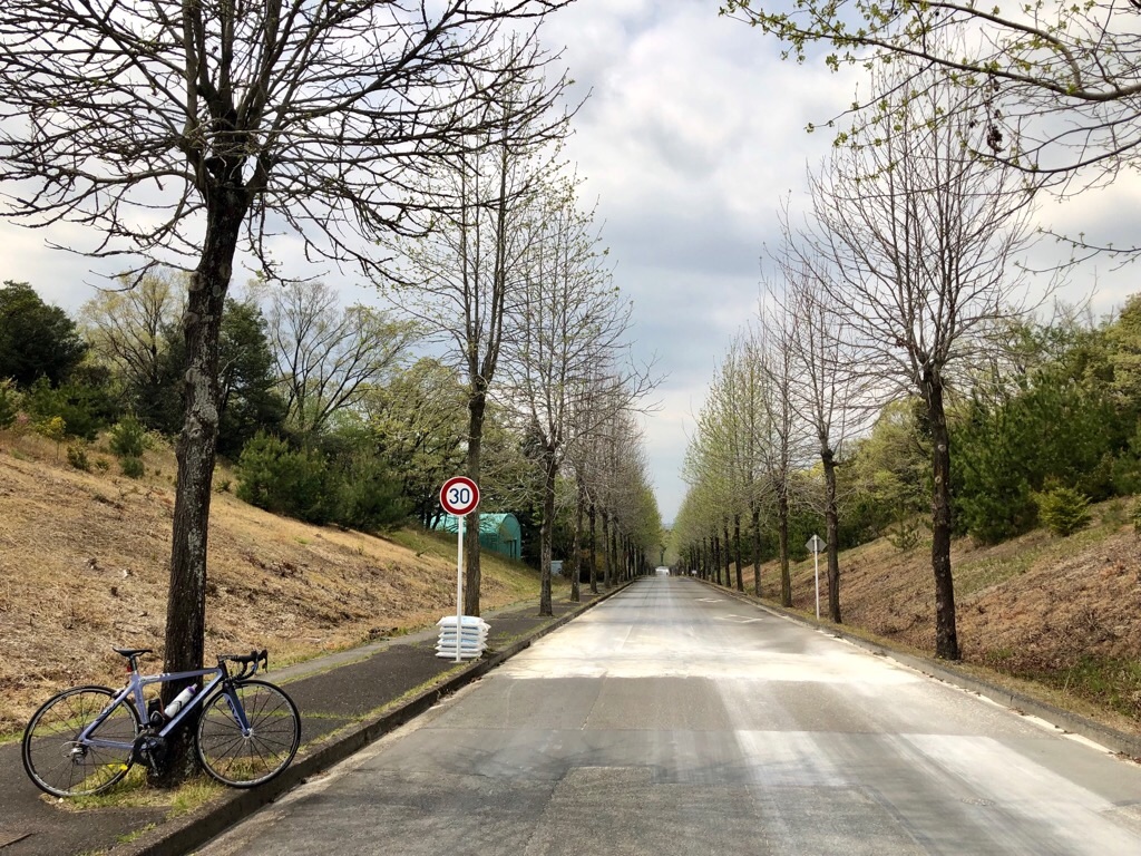 f:id:inagon175:20190419150250j:image