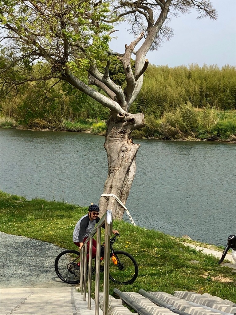 f:id:inagon175:20190424101116j:image