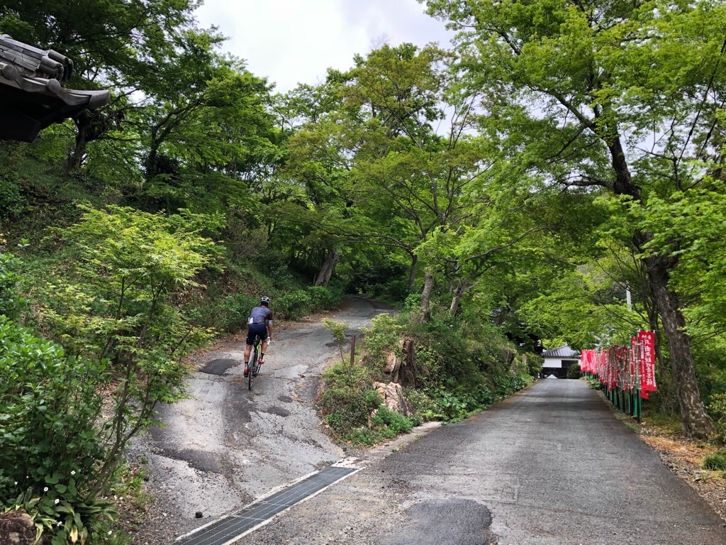 f:id:inagon175:20190424105211j:image