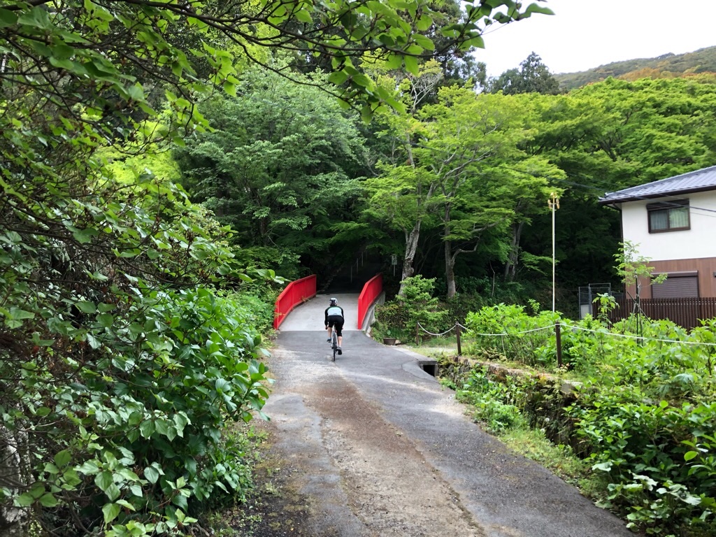 f:id:inagon175:20190424105231j:image