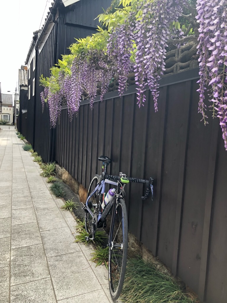 f:id:inagon175:20190424105611j:image
