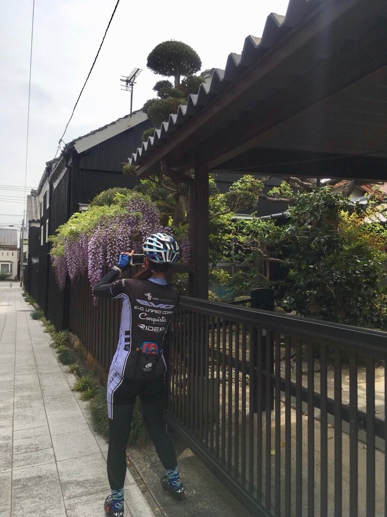 f:id:inagon175:20190424105629j:image