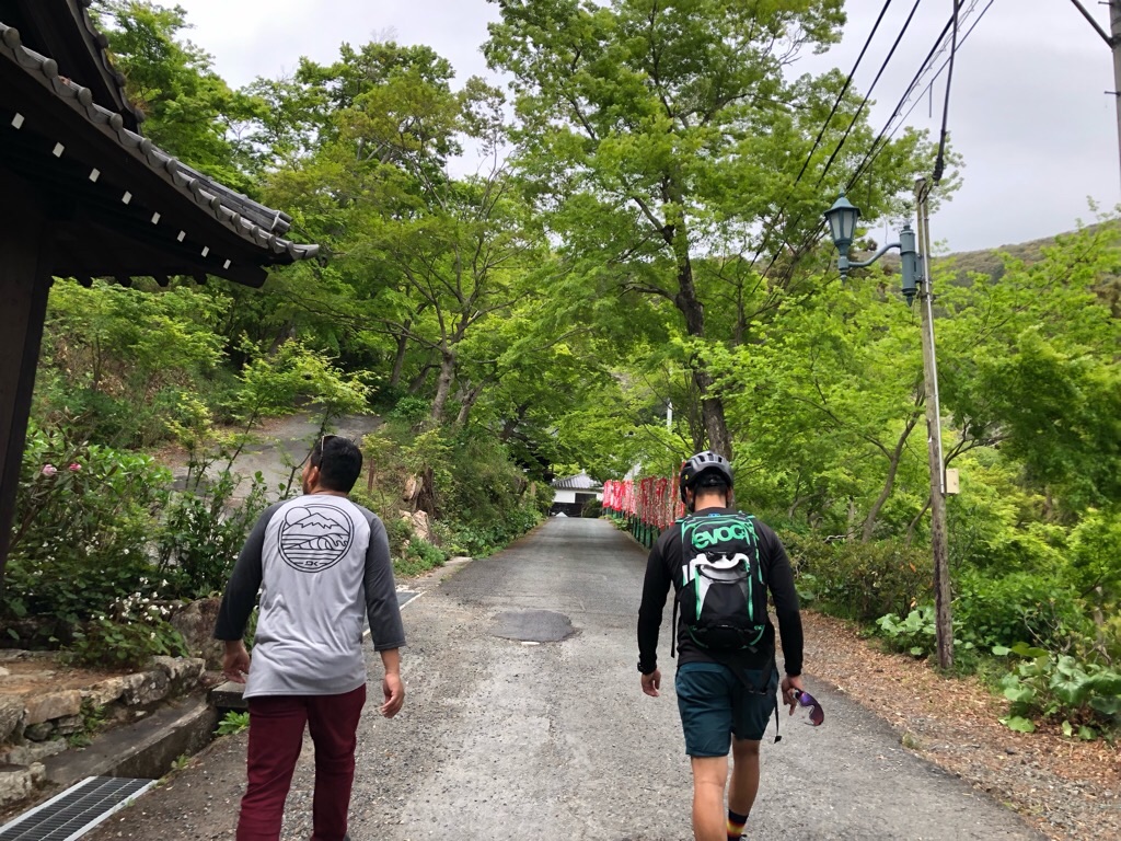 f:id:inagon175:20190424120412j:image