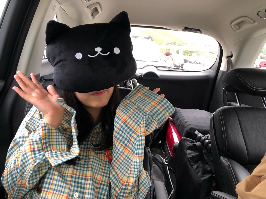 f:id:inagon175:20190429202204j:image