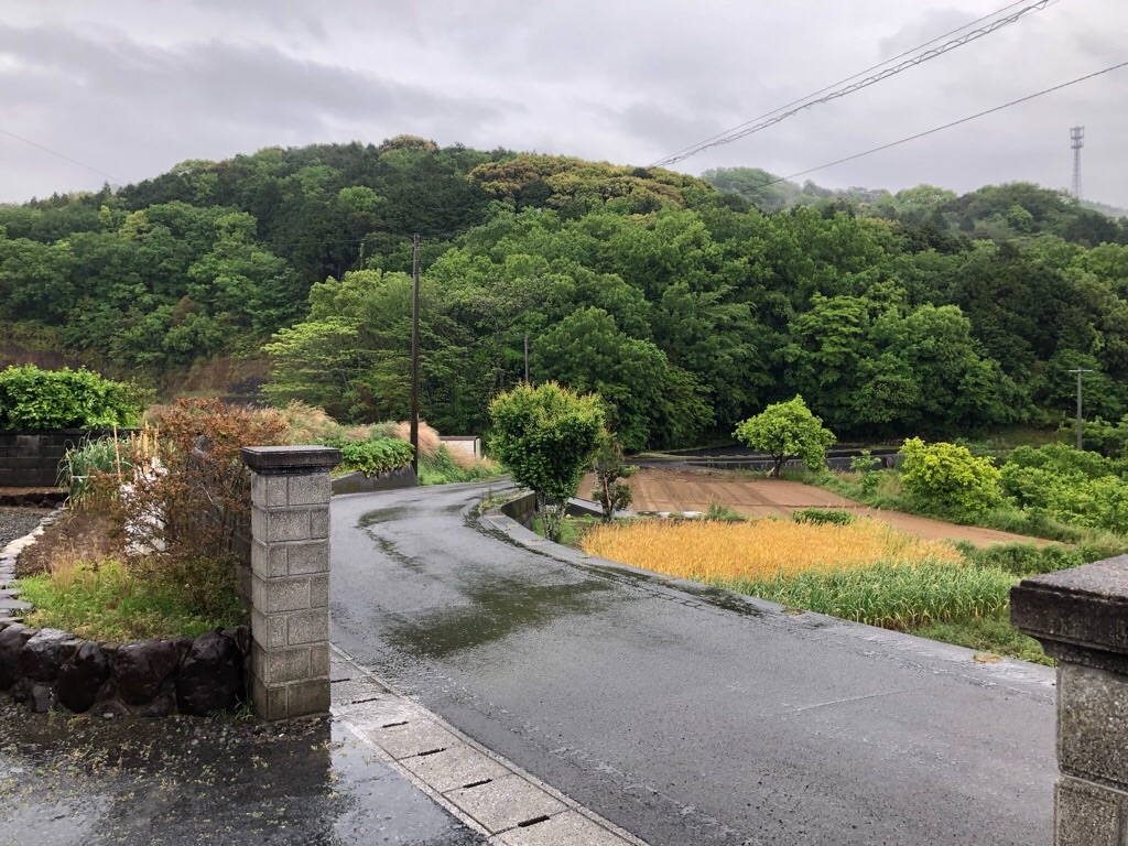 f:id:inagon175:20190429210851j:image