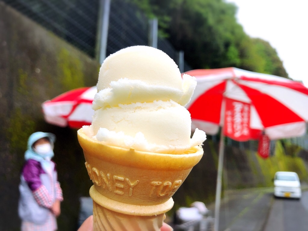 f:id:inagon175:20190430201430j:image
