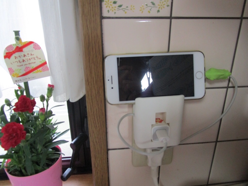 f:id:inagon175:20190514211431j:image