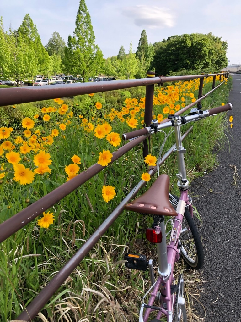 f:id:inagon175:20190517225342j:image