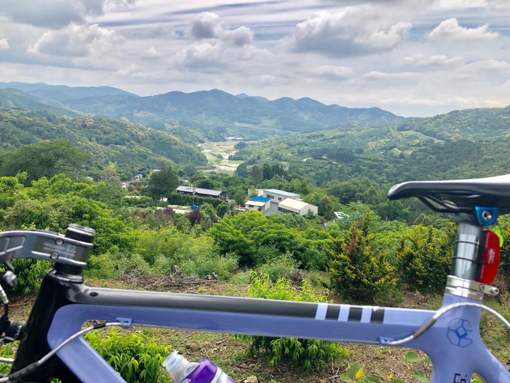 f:id:inagon175:20190523090659j:image