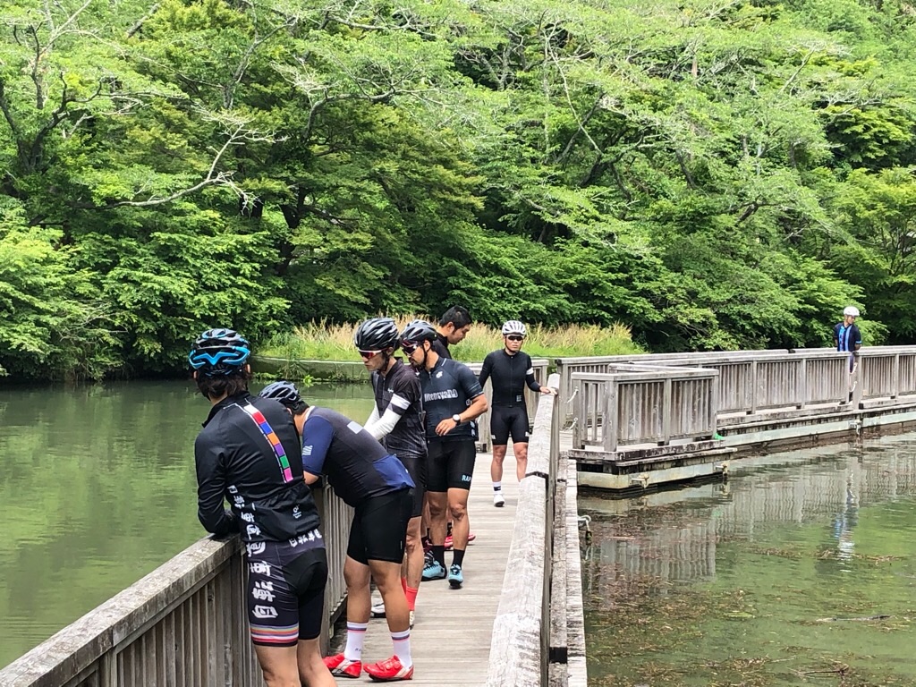 f:id:inagon175:20190523093734j:image