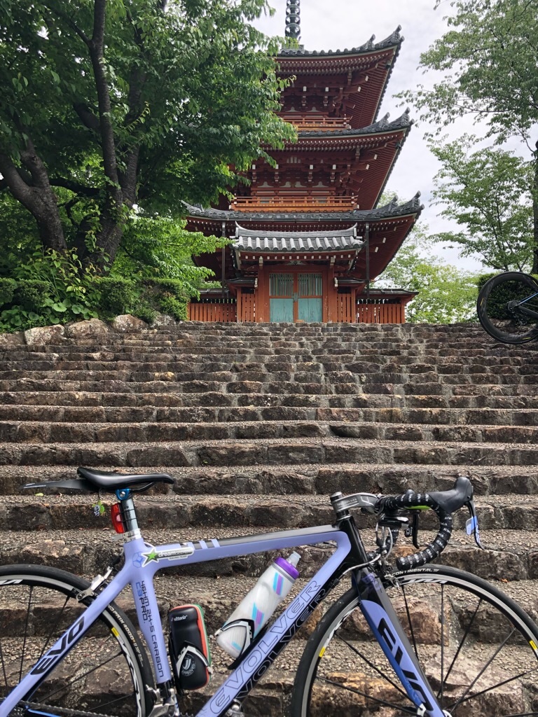 f:id:inagon175:20190523094213j:image
