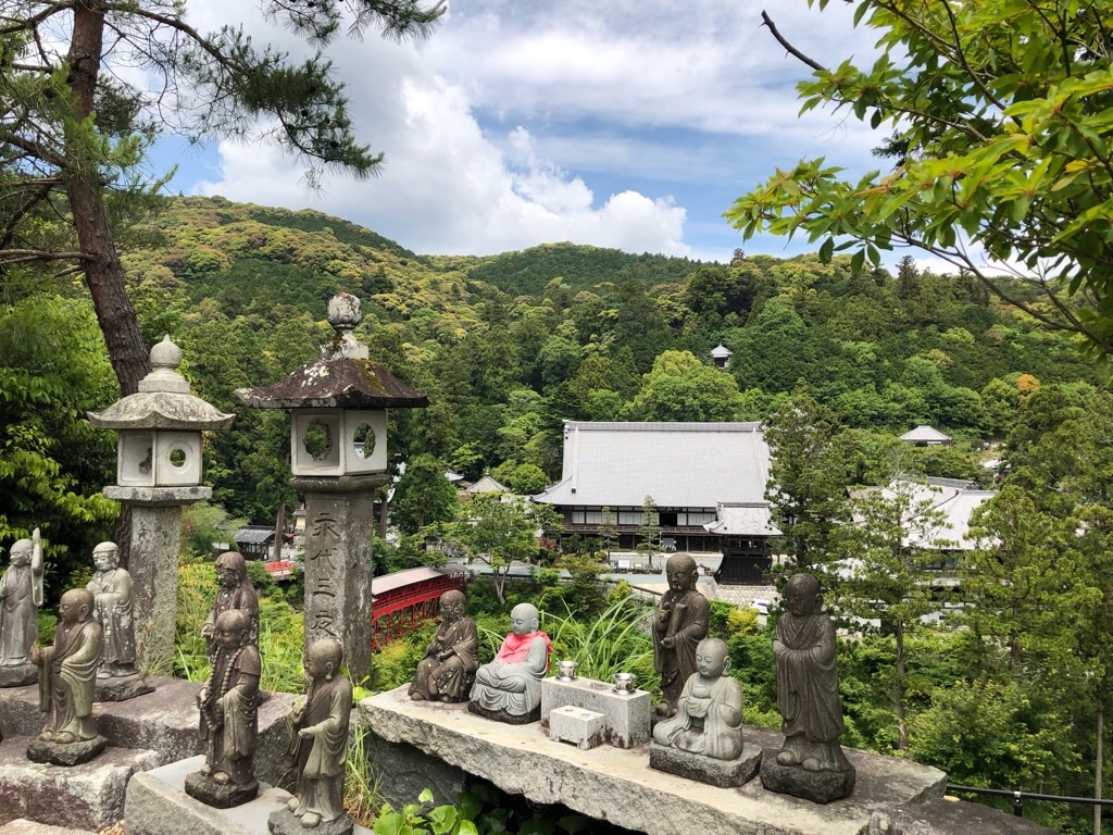 f:id:inagon175:20190523100019j:image