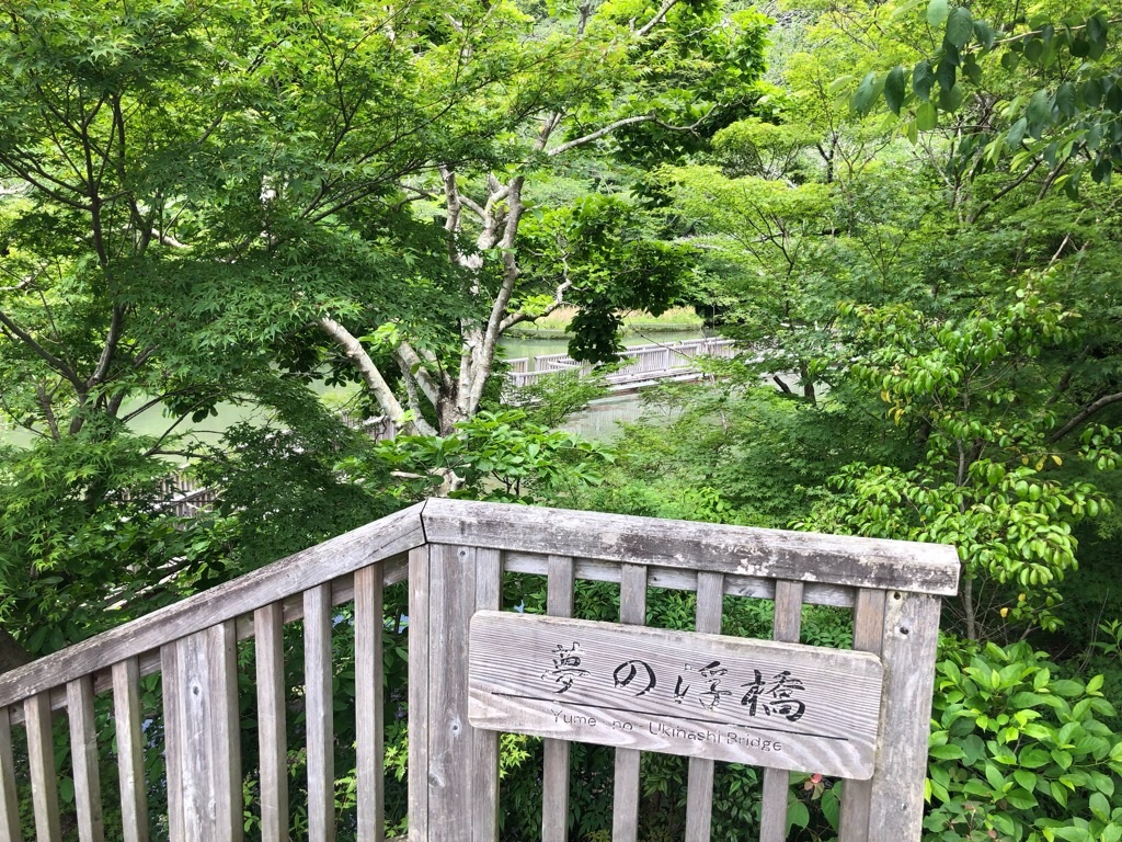 f:id:inagon175:20190523174131j:image