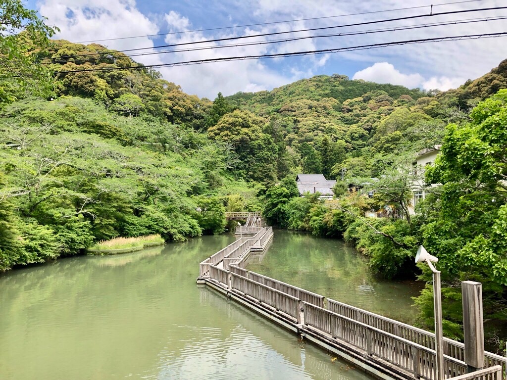 f:id:inagon175:20190523174140j:image