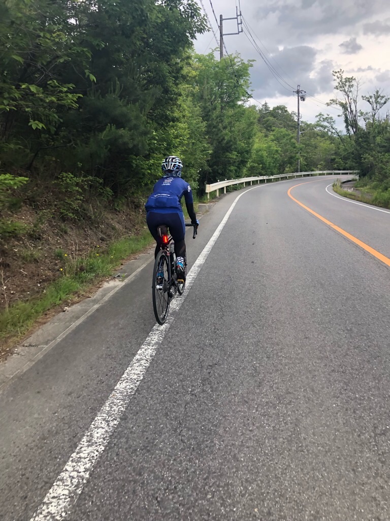 f:id:inagon175:20190531193520j:image