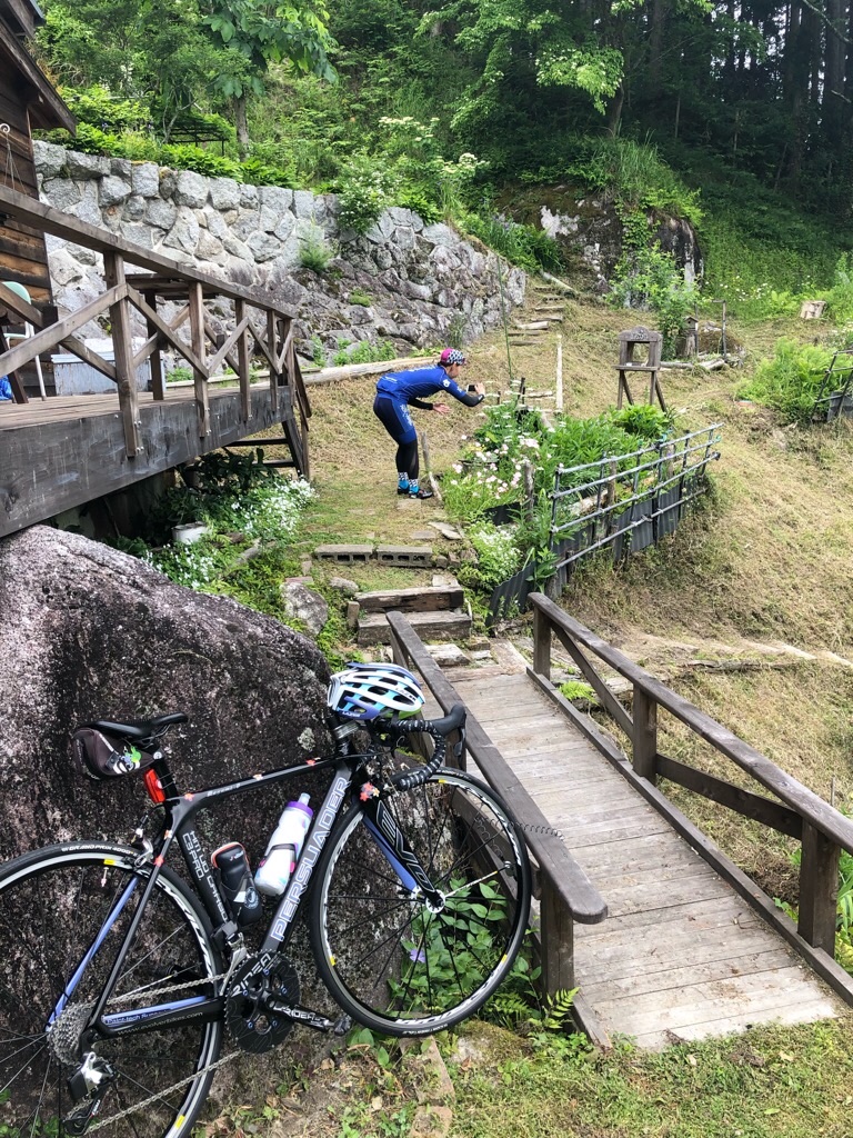 f:id:inagon175:20190531194203j:image