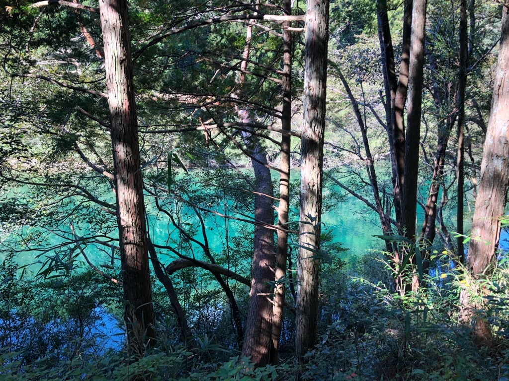 f:id:inagon175:20191111090416j:image