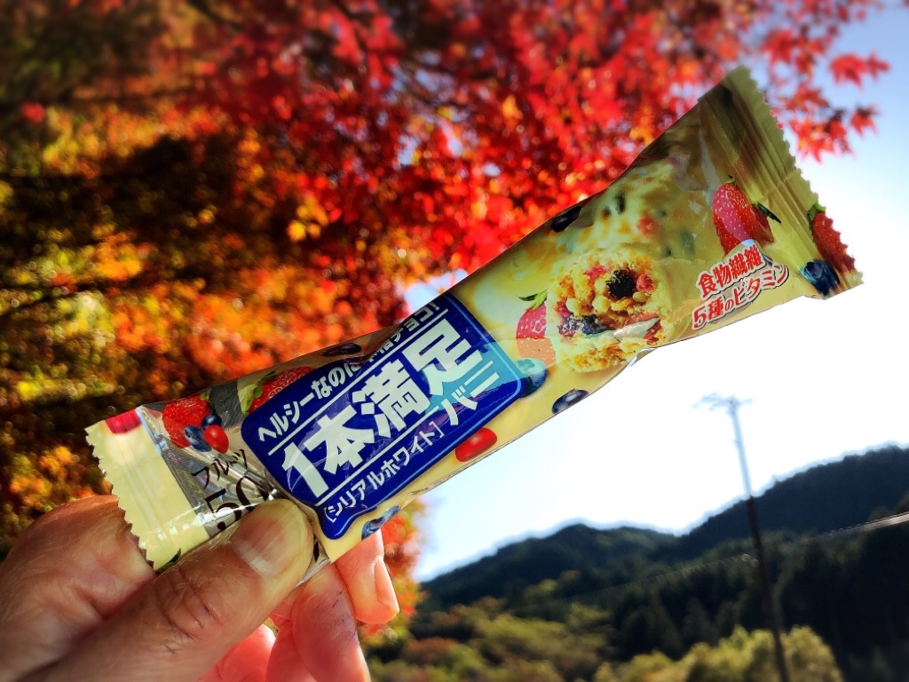 f:id:inagon175:20191111090420j:image