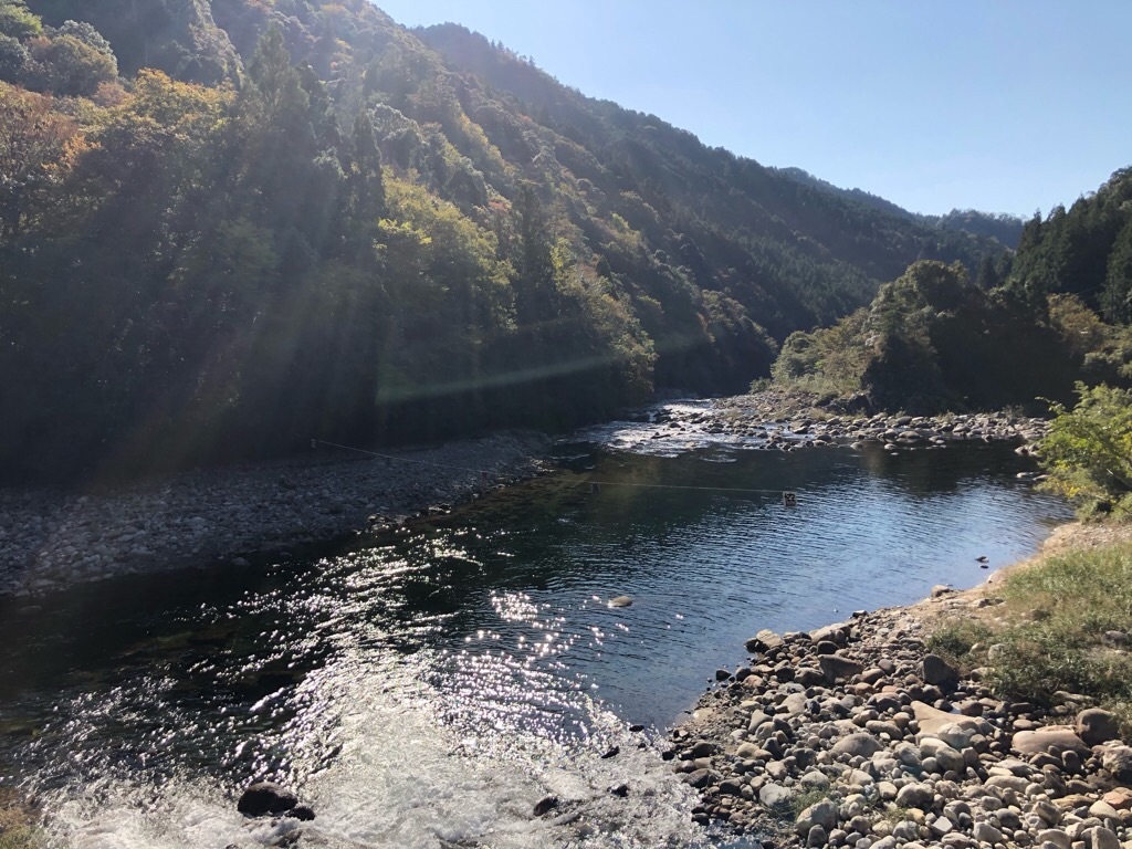 f:id:inagon175:20191111090433j:image