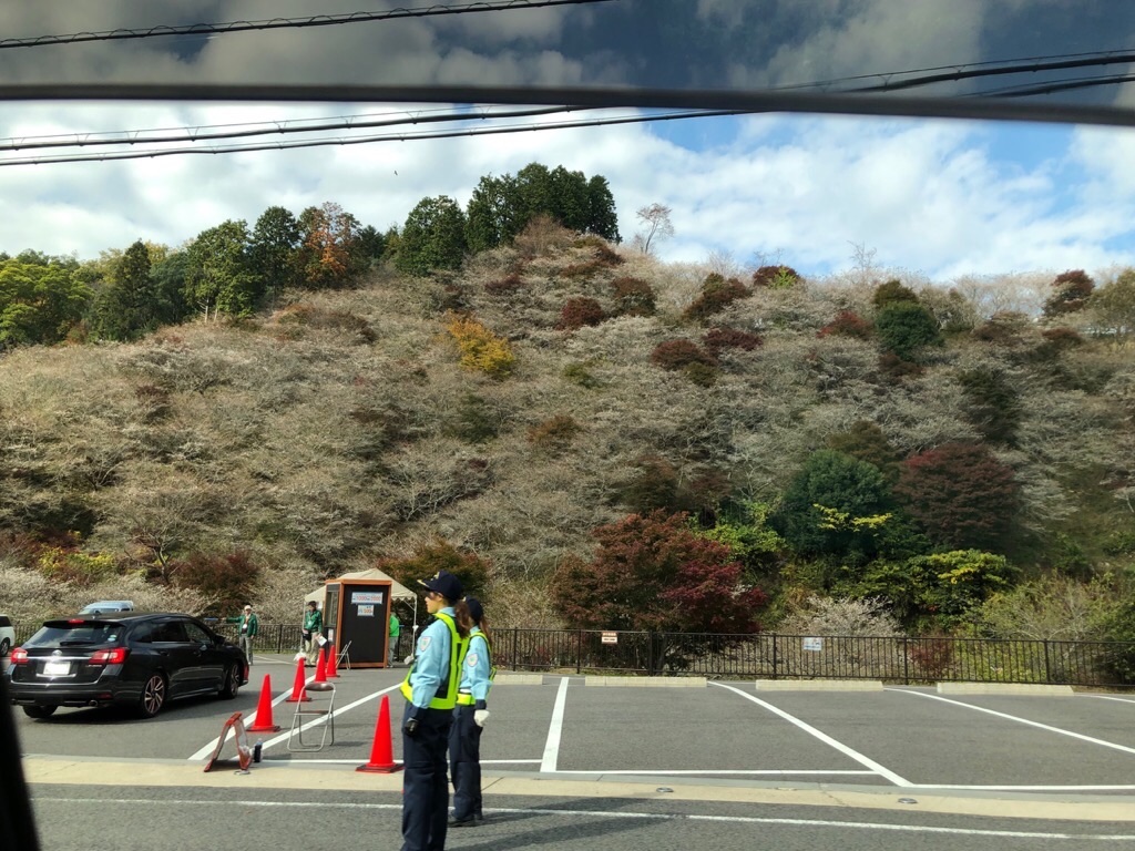 f:id:inagon175:20191113170039j:image