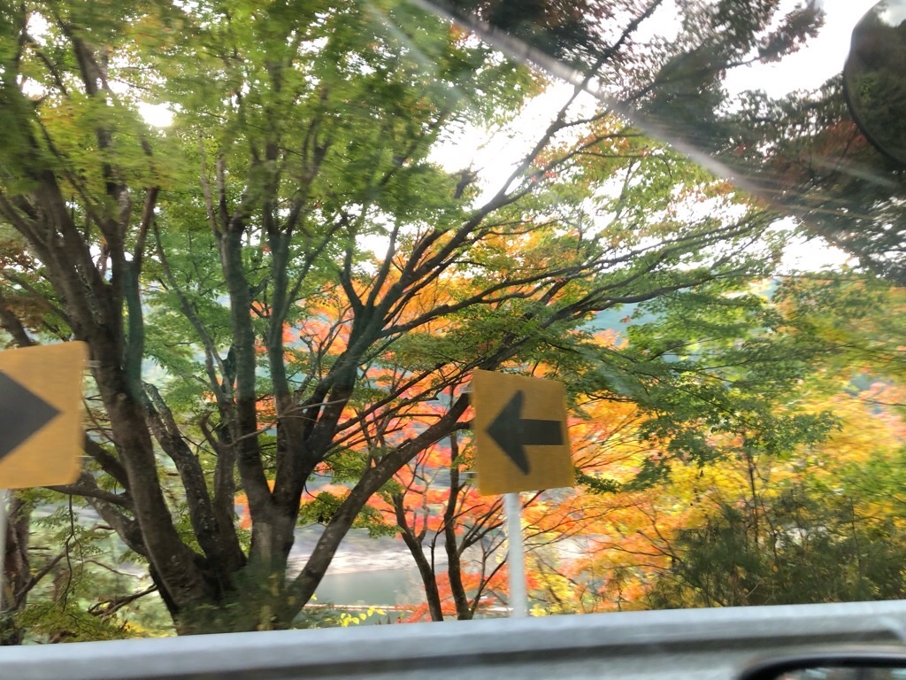 f:id:inagon175:20191113173546j:image