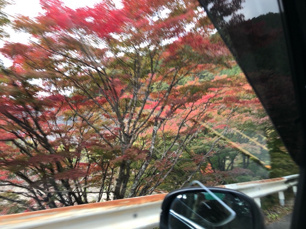 f:id:inagon175:20191113173555j:image