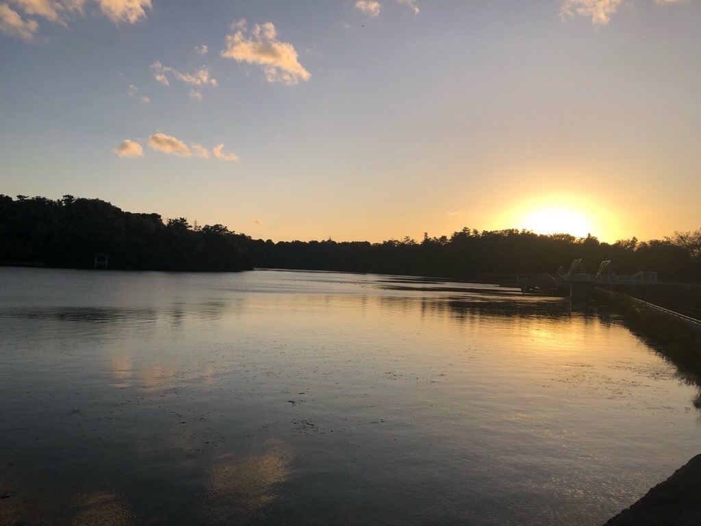 f:id:inagon175:20191115171059j:image