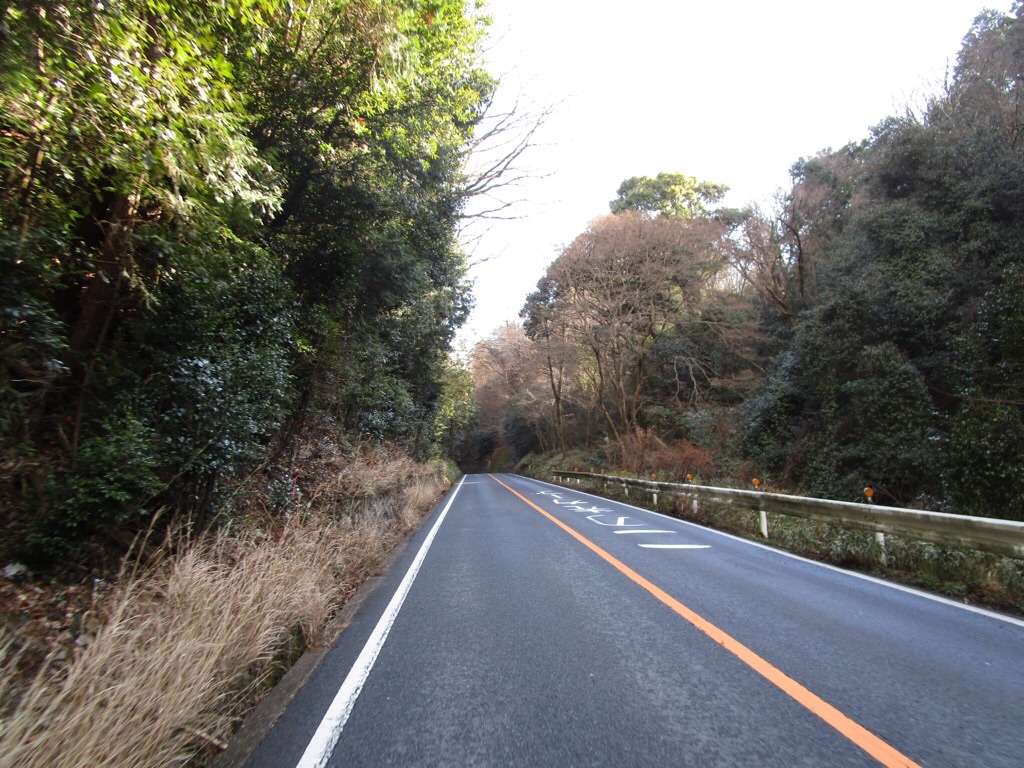 f:id:inagon175:20200113161253j:image