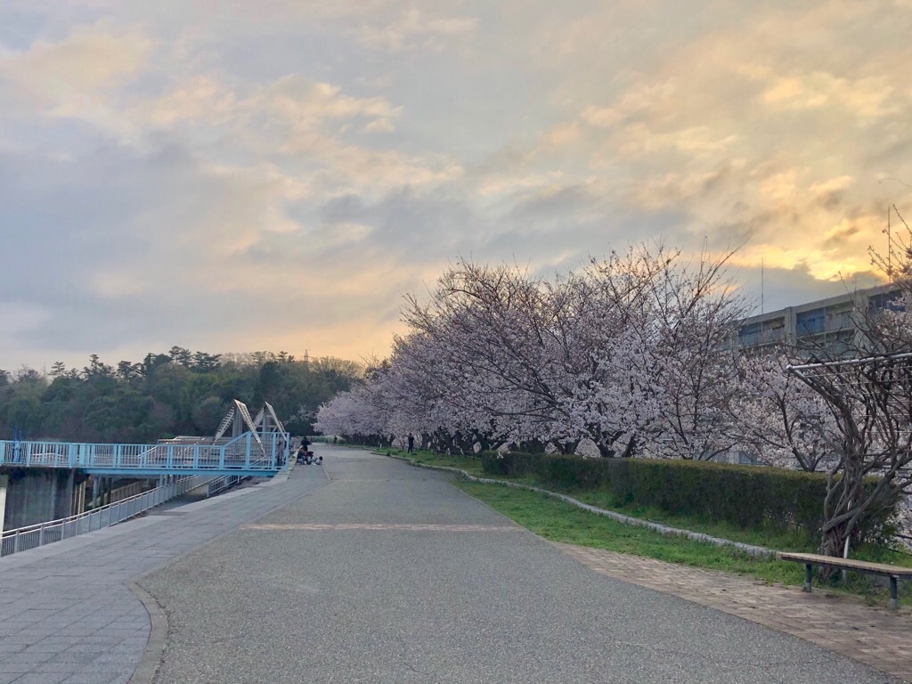 f:id:inagon175:20200331203328j:image