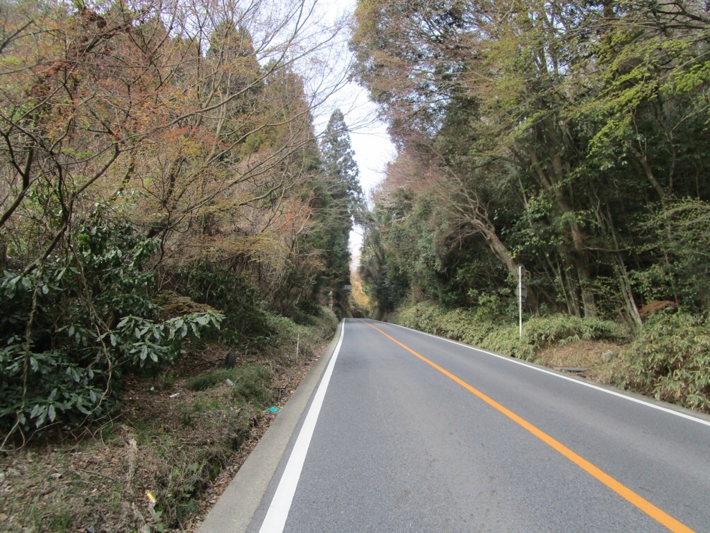 f:id:inagon175:20200404145356j:image