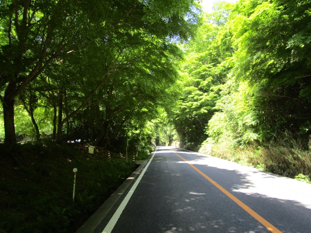 f:id:inagon175:20200514120545j:image