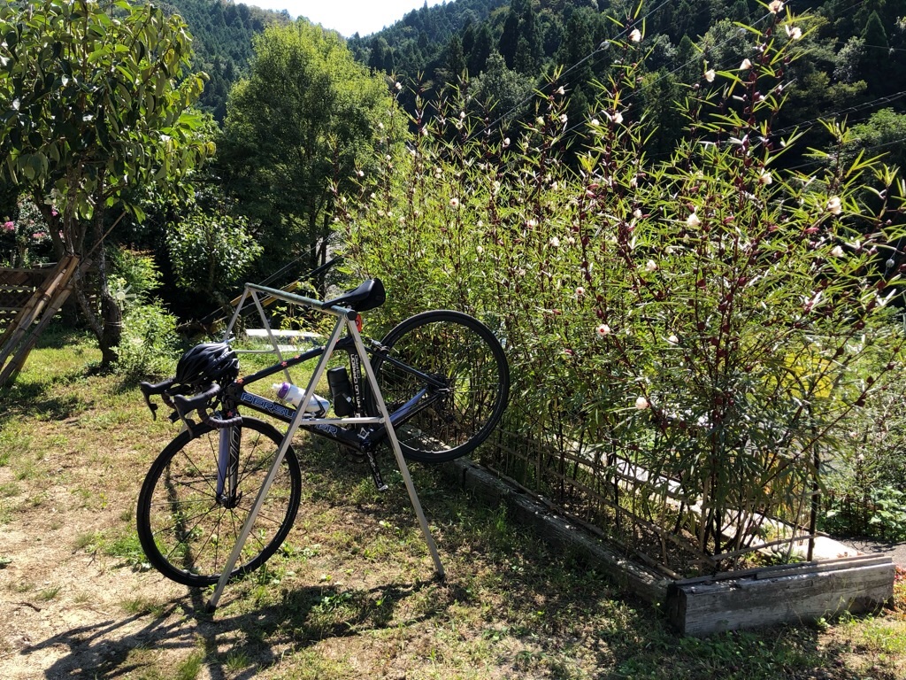 f:id:inagon175:20200921231438j:image