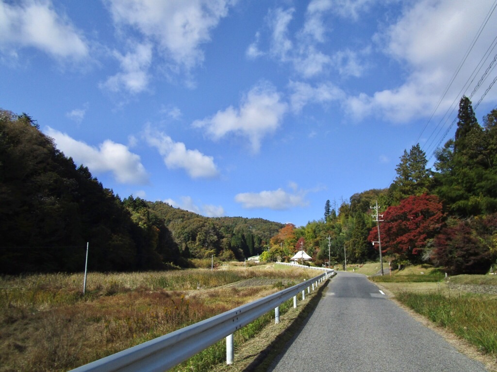 f:id:inagon175:20201104192514j:image